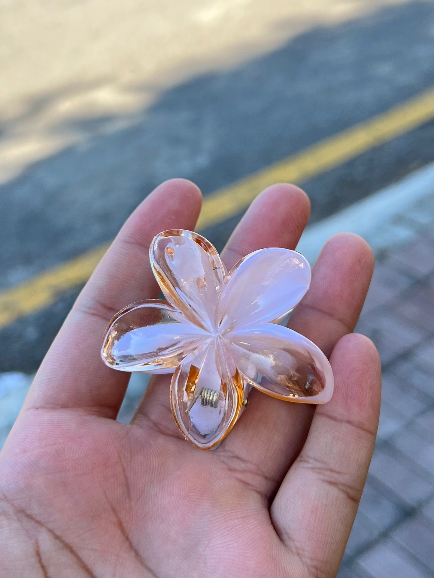 Crystal Daisy Claw