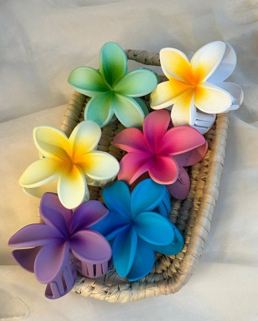Large Daisy Claw (Bundle)